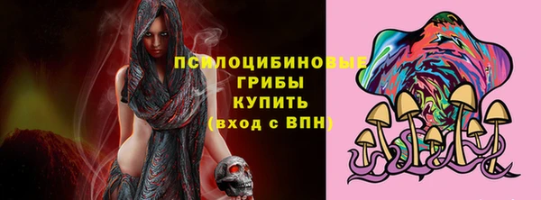 хмурый Абаза