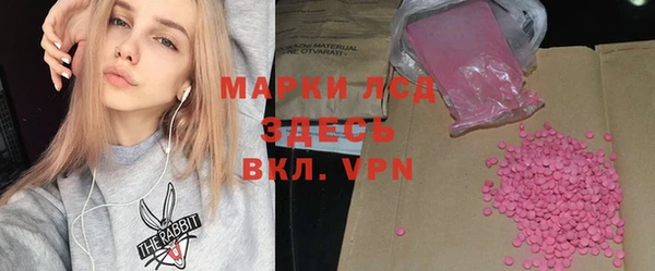 хмурый Абаза