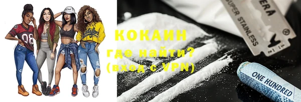 круглые Пересвет