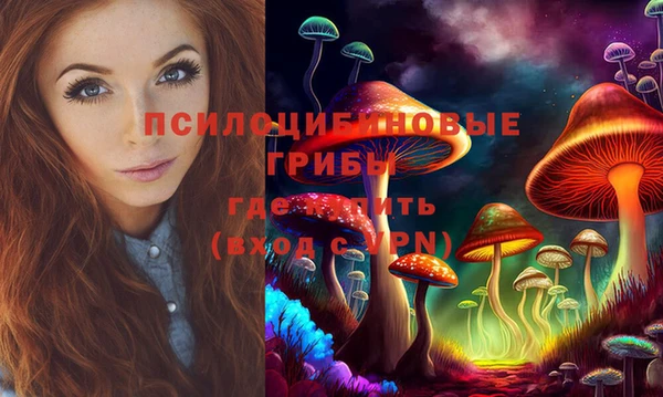 хмурый Абаза