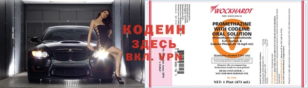 хмурый Абаза