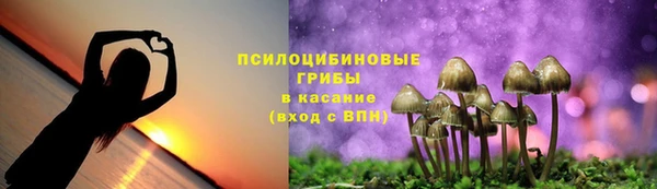MDMA Premium VHQ Вяземский