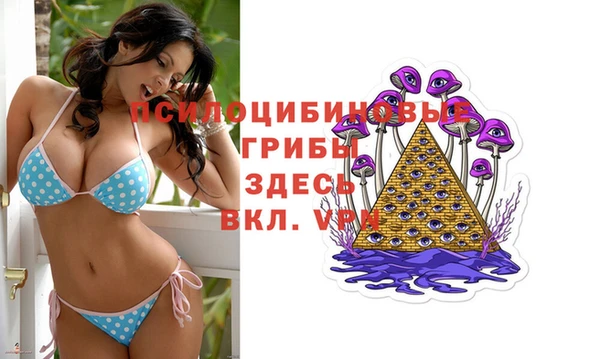 хмурый Абаза