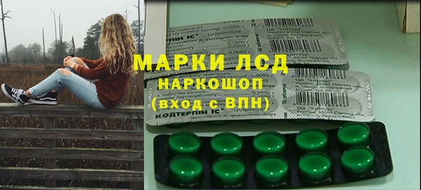 хмурый Абаза