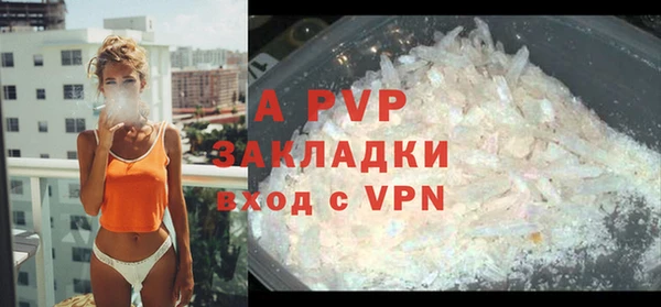 круглые Пересвет