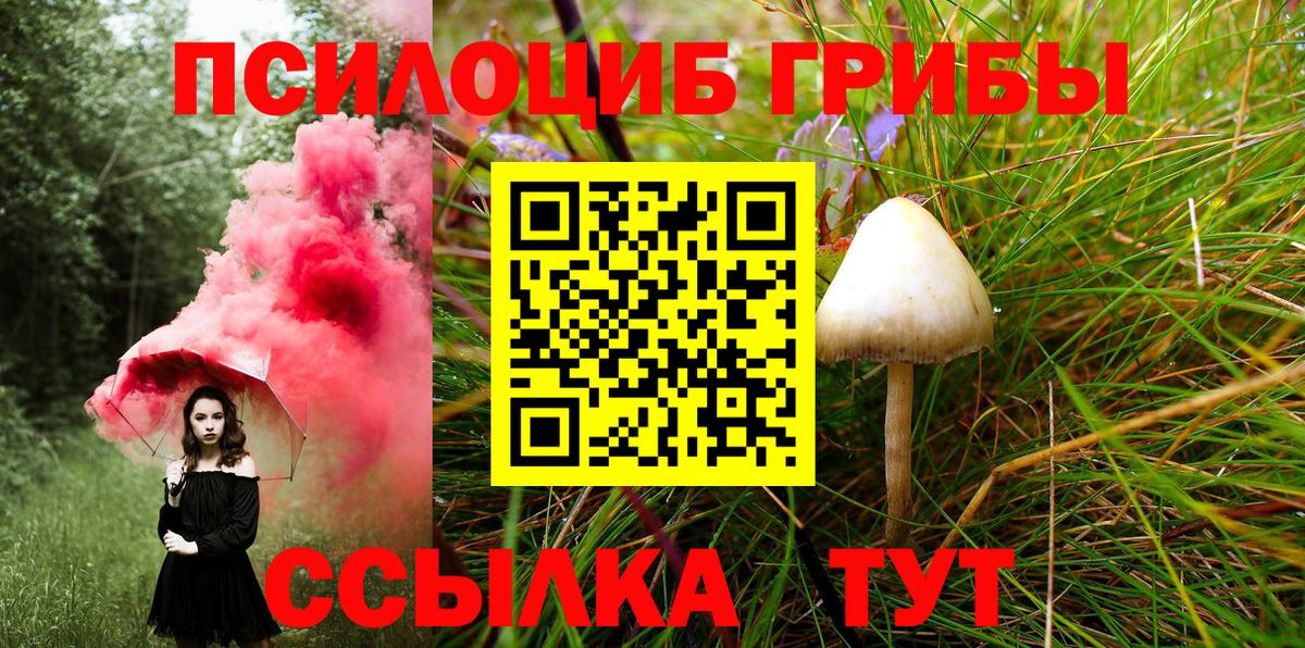 Галлюциногенные грибы GOLDEN TEACHER Лиски