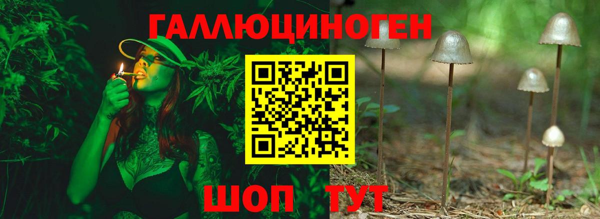 Псилоцибиновые грибы мицелий  Вход с VPN  Лиски  Псилоцибиновые грибы Magic Shrooms 