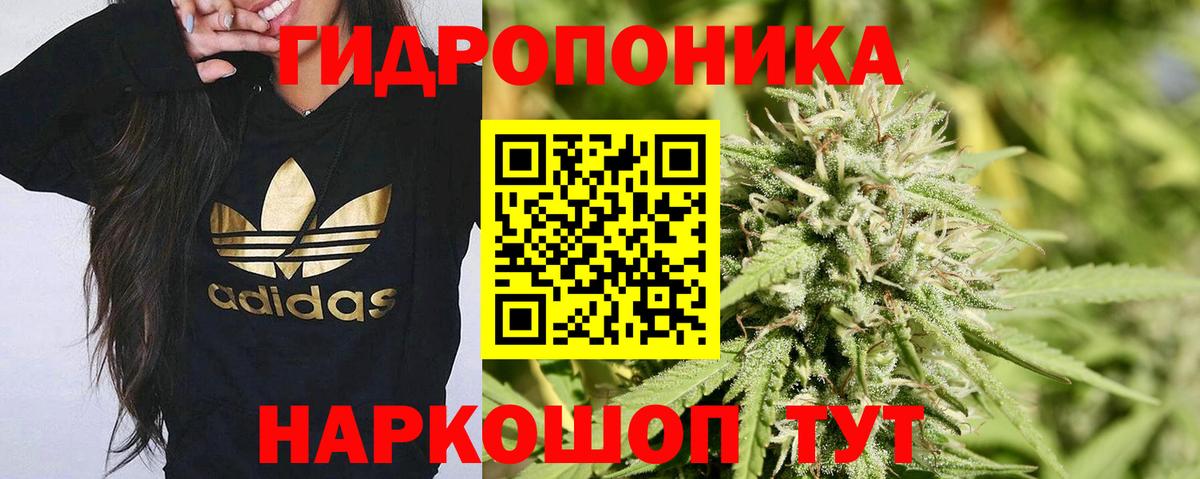 Каннабис OG Kush  МАРИХУАНА AK-47  Лиски  Вход с VPN  Конопля план 